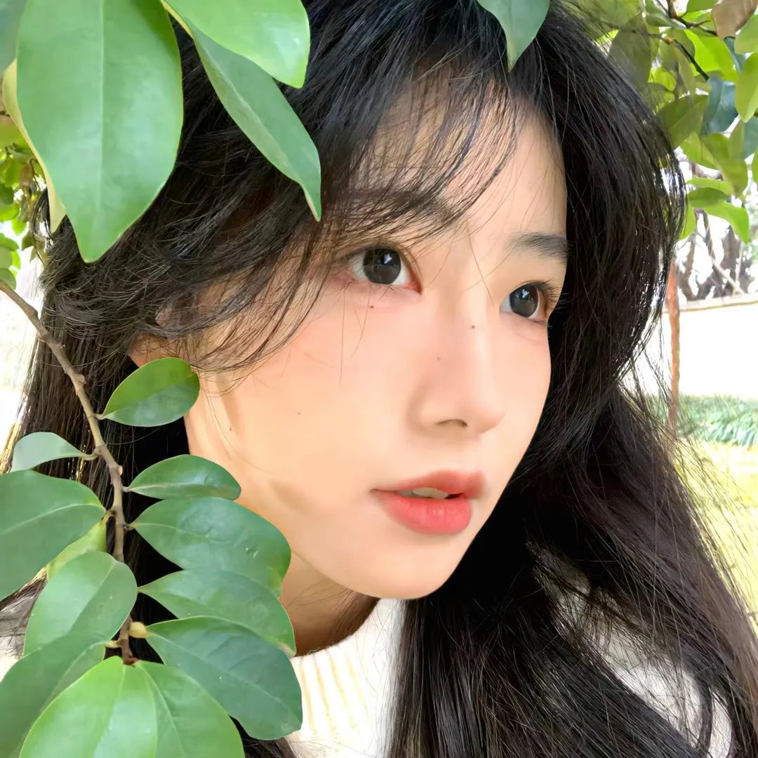最美中轴线第三季